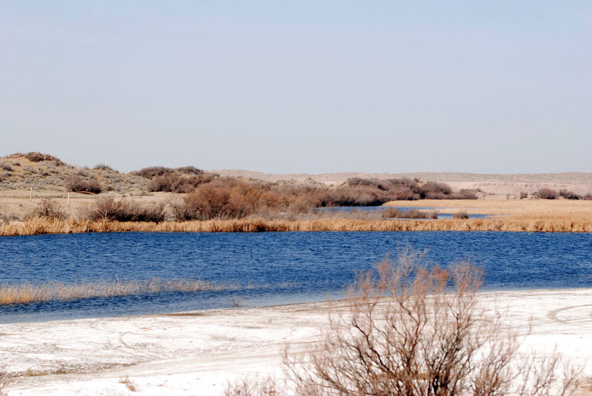 The Karakum: Desert’s Inexhaustible Resources 