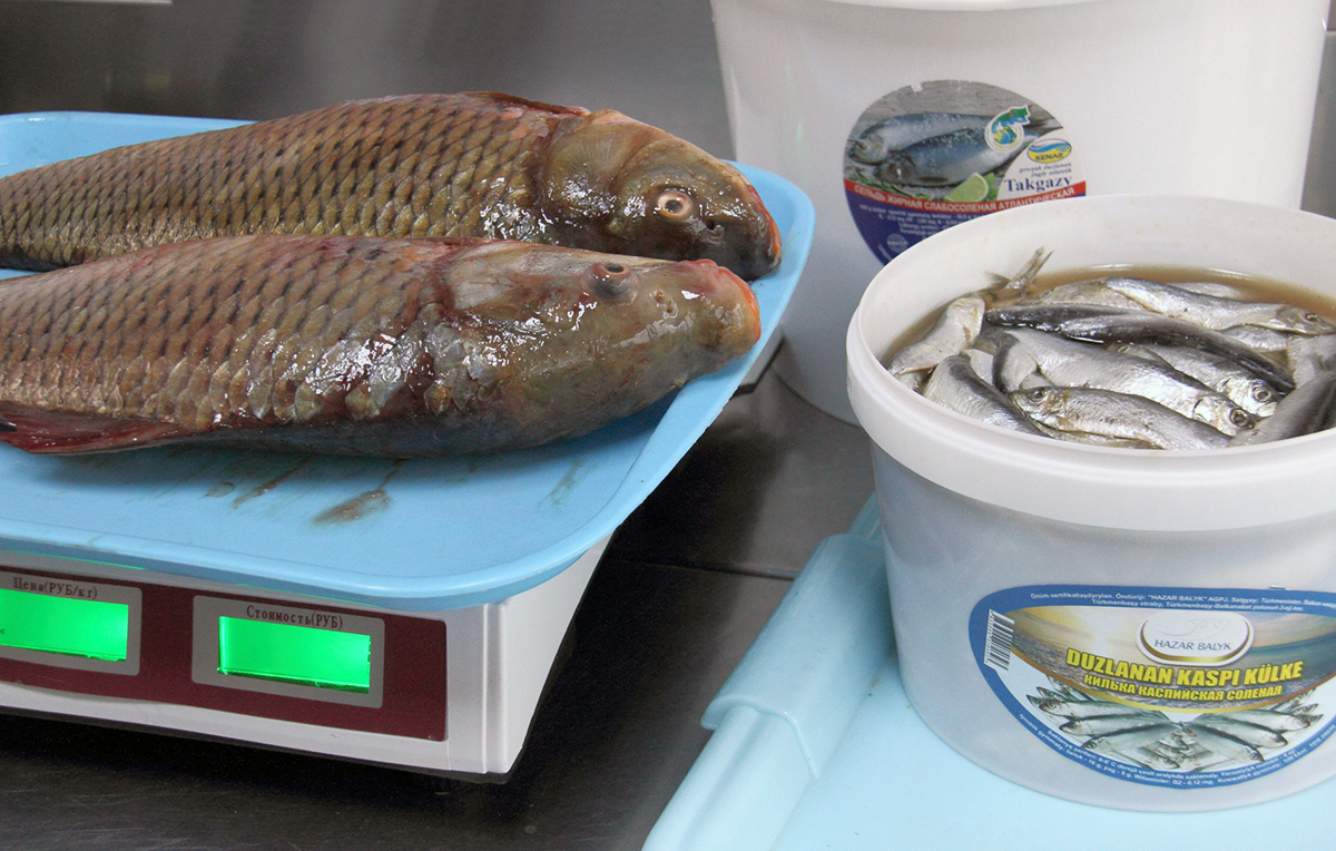 «Hazar külke» приглашает посетителей