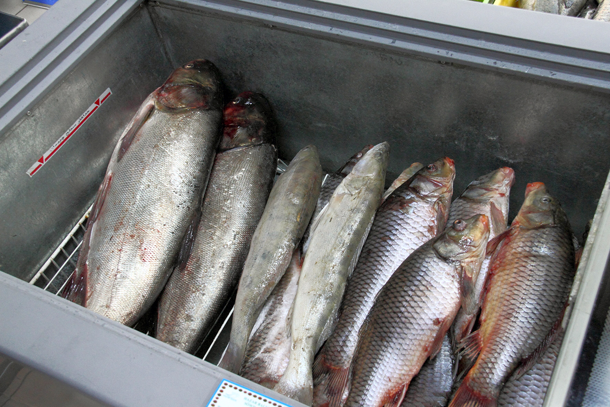 «Hazar külke» приглашает посетителей