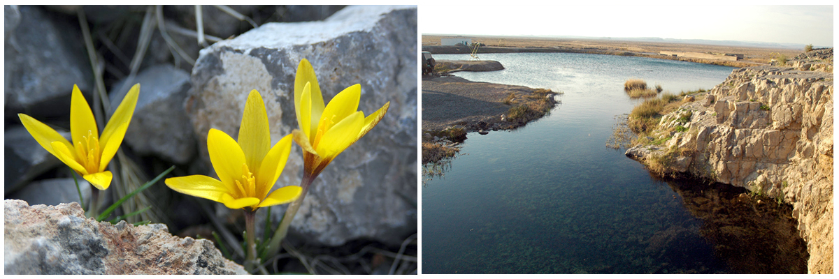 Koytendag: A Journey to the Realm of Gorges and Underground Labyrinths 